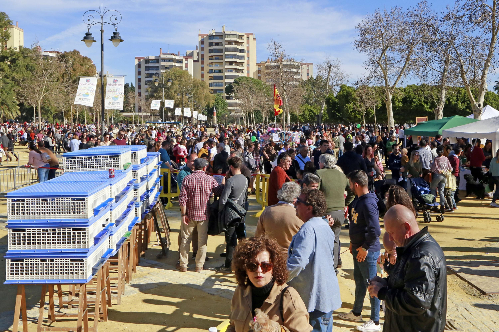 Imágenes de San Antón 2020 en Jerez