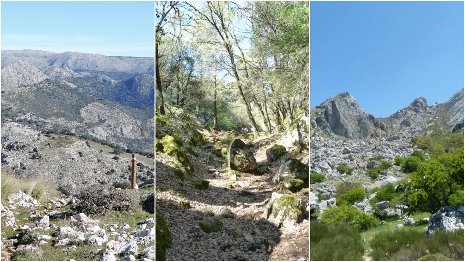 Diferentes tramos de la ruta de senderismo.