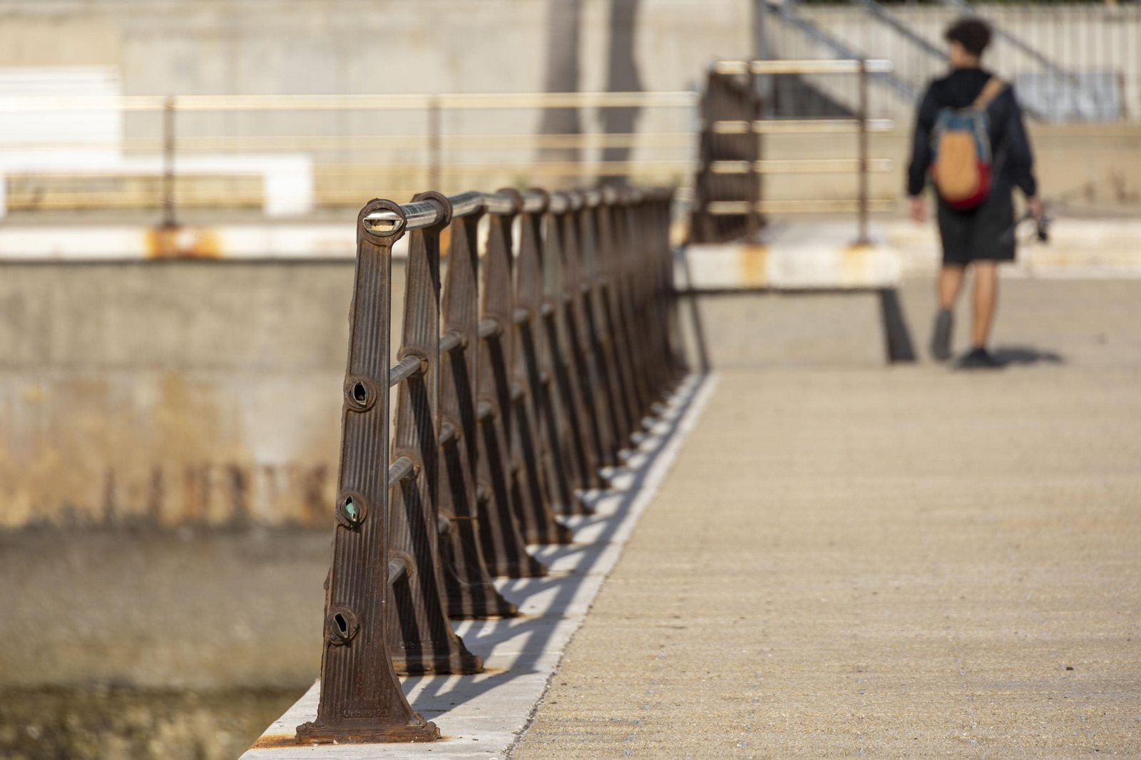 Las imágenes del mal estado de los paseos de Cádiz