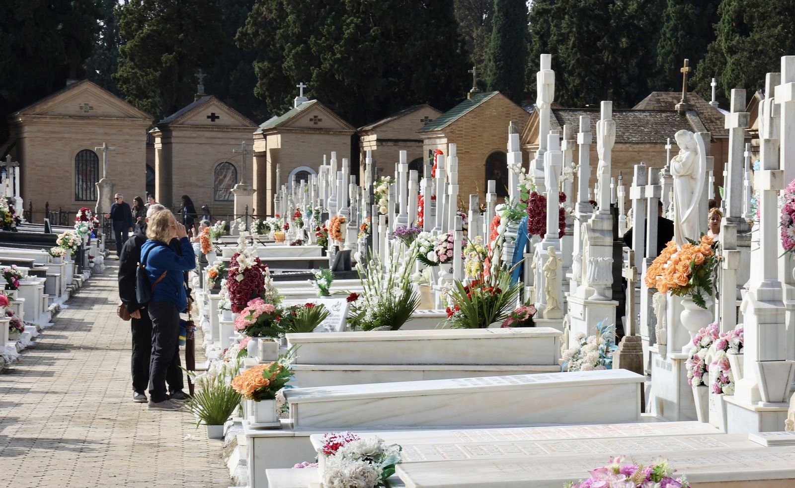 Previa al día de los difuntos