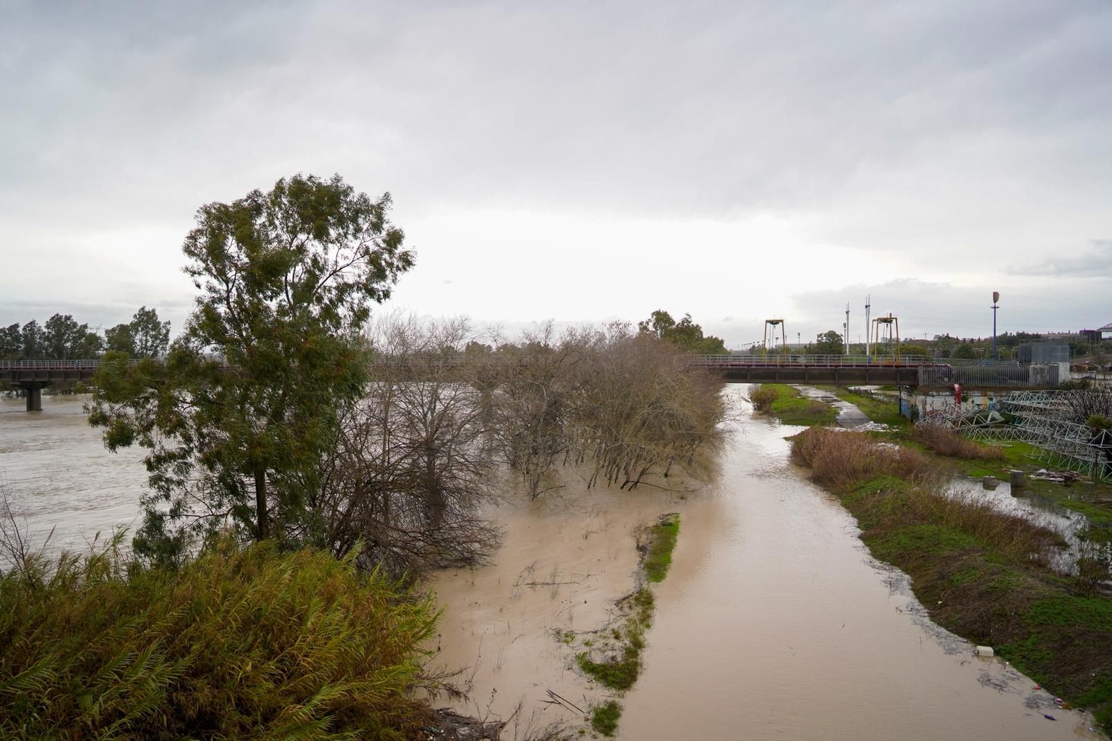 WhatsApp Image 2026-02-07 at 16.12.25