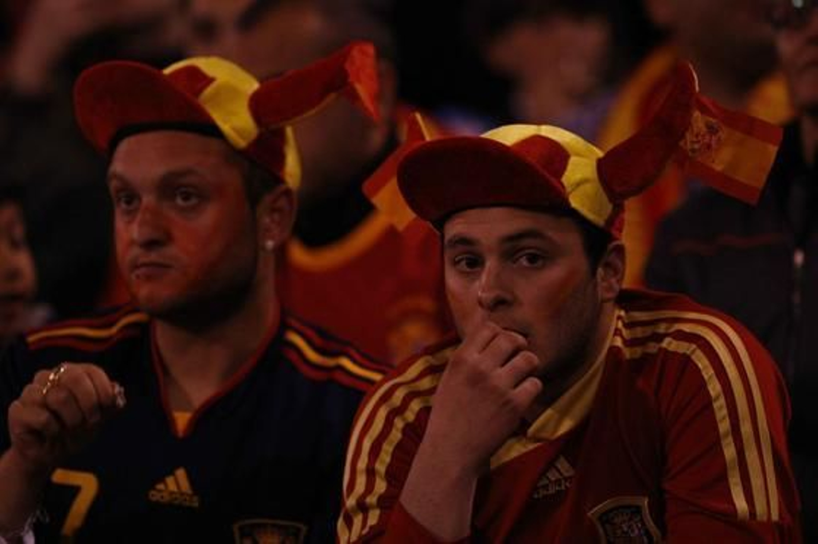 Los aficionados de la selección se volcaron con los jugadores en Granada.

Foto: Maria de la Cruz / Lucia Rivas