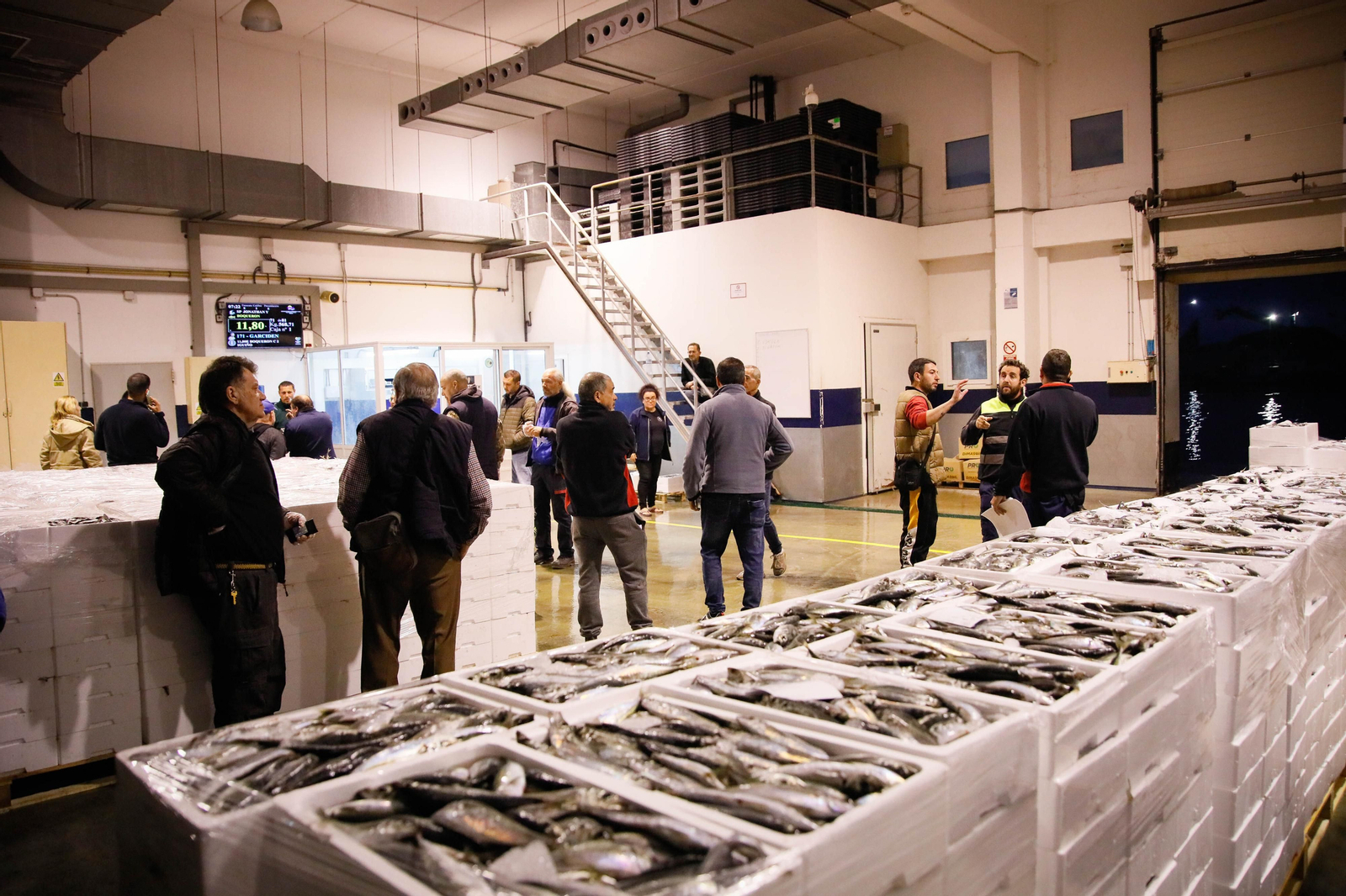 Te contamos en imágenes como ha sido la descarga de las traiñas en la lonja de Almería