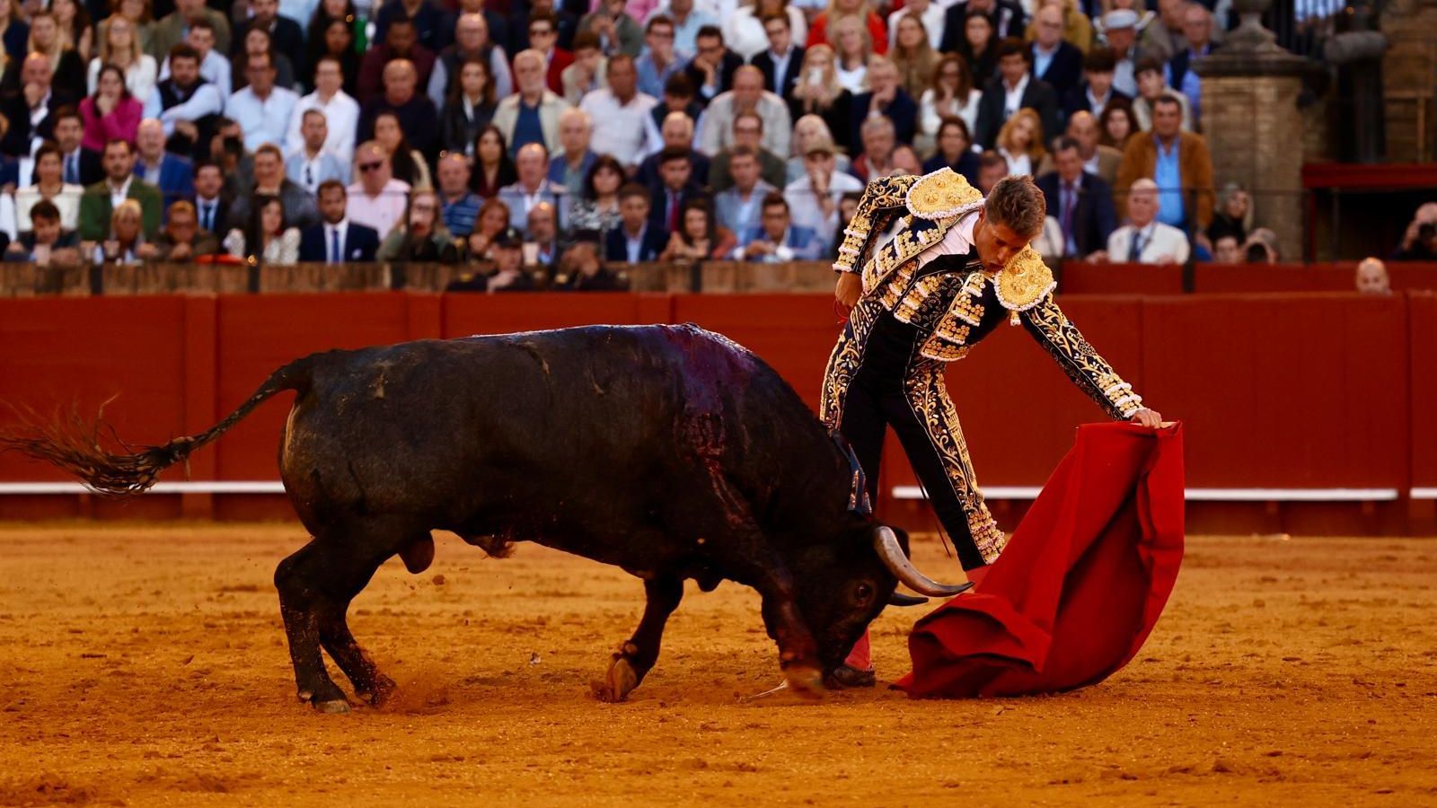 Escribano cortó las dos orejas a este toro de Victorino.