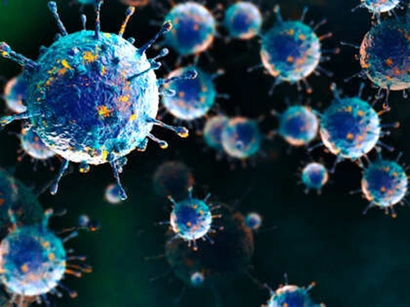 Muere en Francia una persona con el virus shamonda, que se creía no  transmisible al hombre