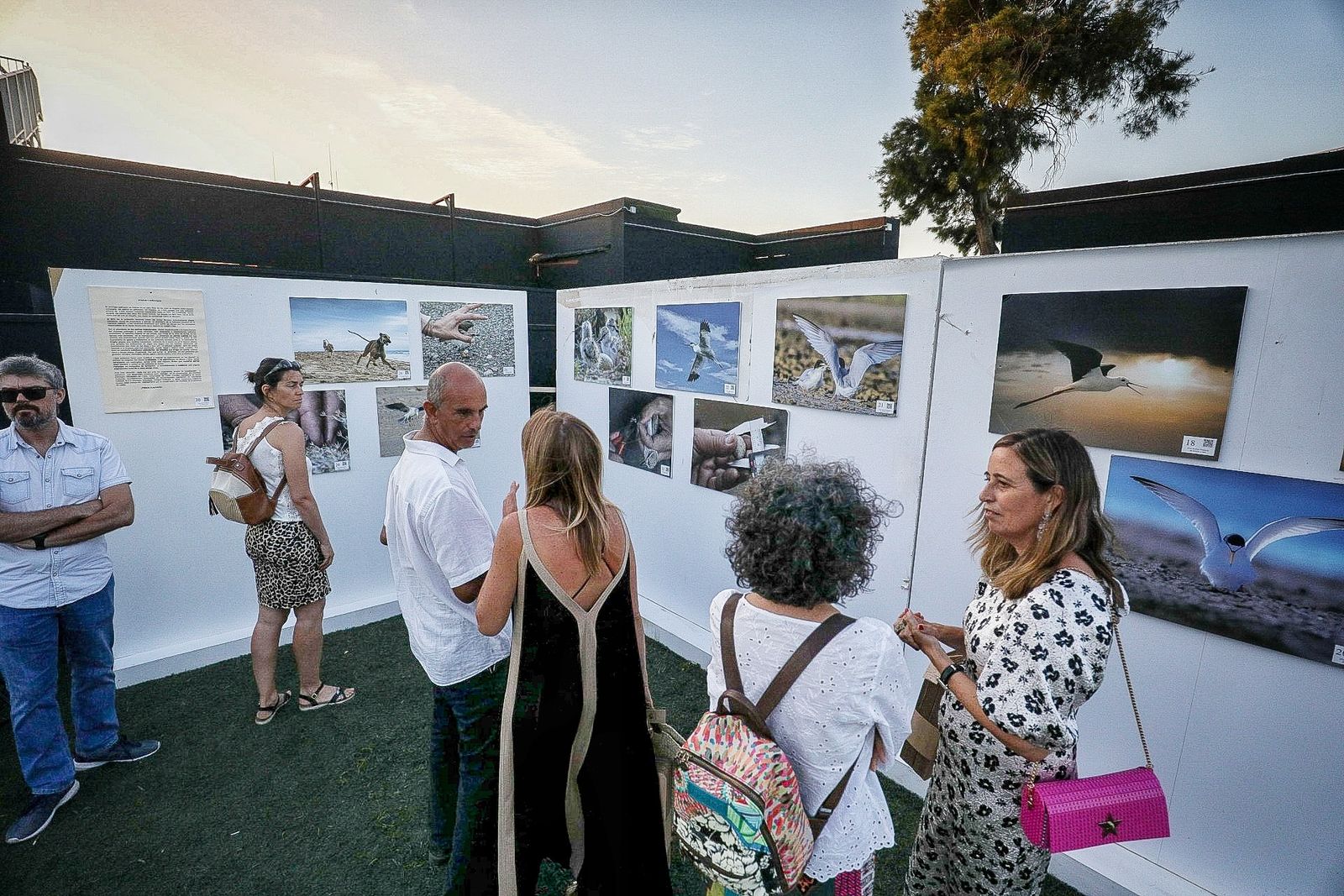 Búscate en la galería del día de Chiclana en el Concert Music Festival