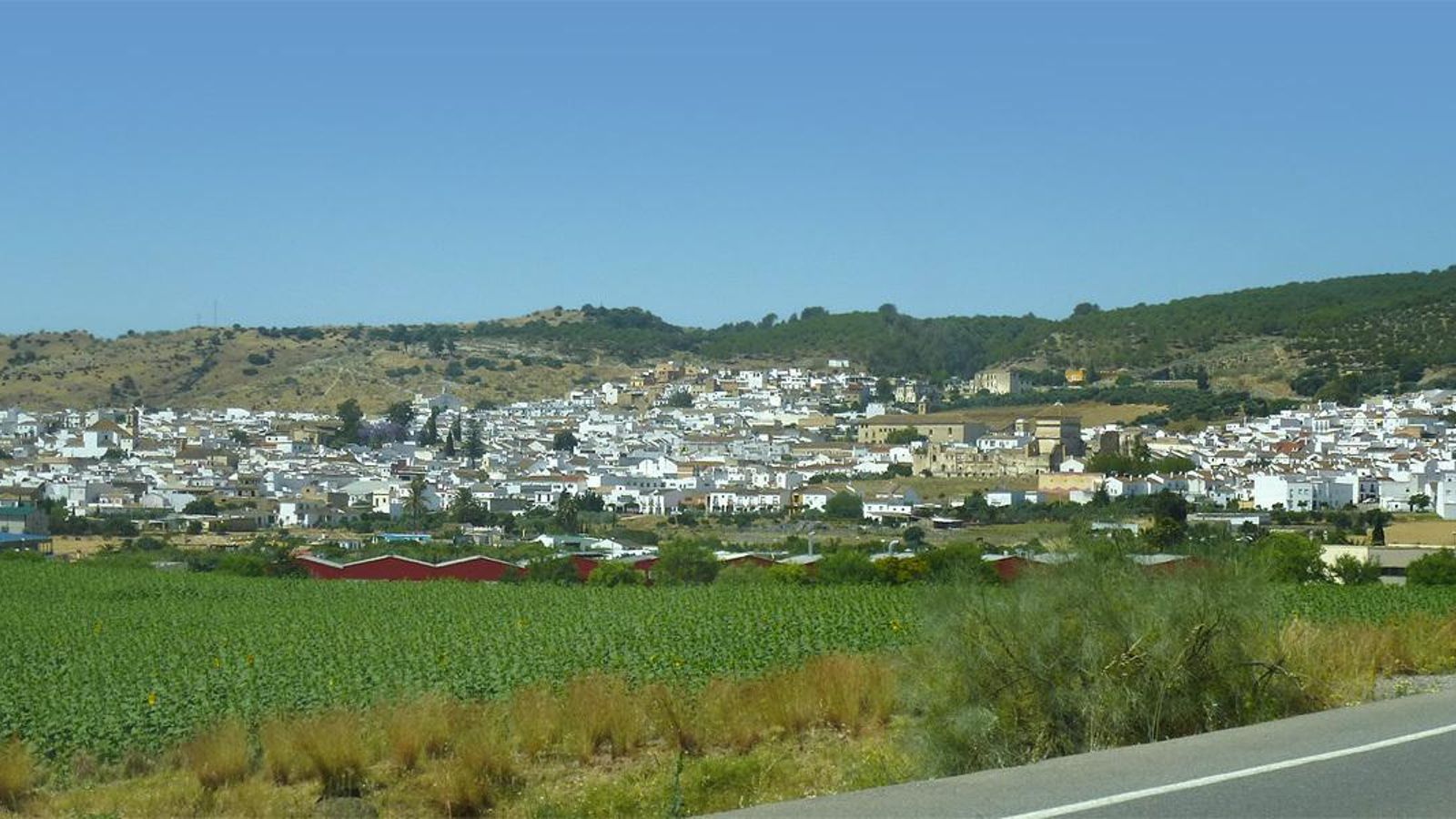 Bornos. Bornos.