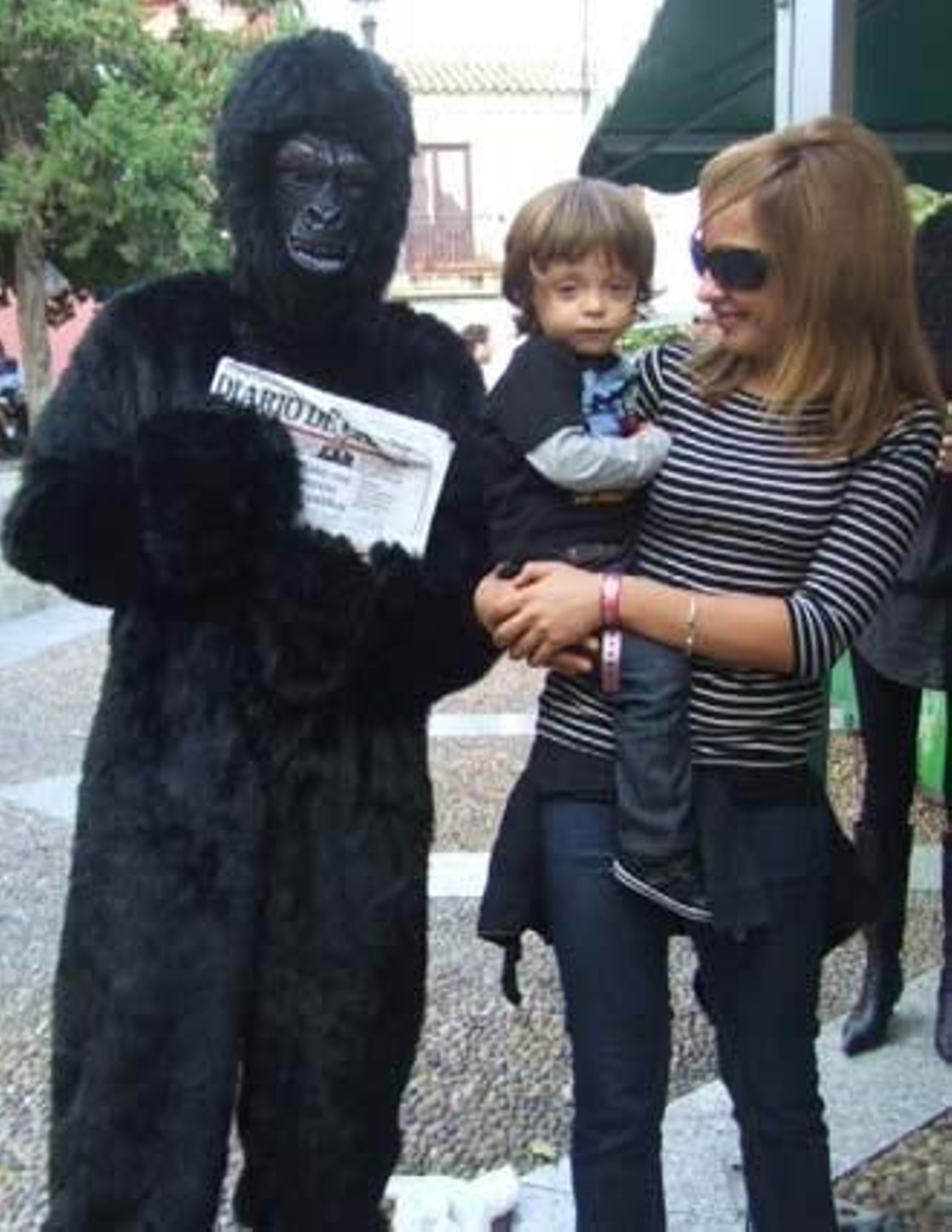 Iba para hombre, pero se quedó en mono. Eso sí, un mono muy leído, que va con su Diario a todas partes. Si te encontraste con nuestro particular monkey el sábado, búscate en esta galería. 

Foto: Senda