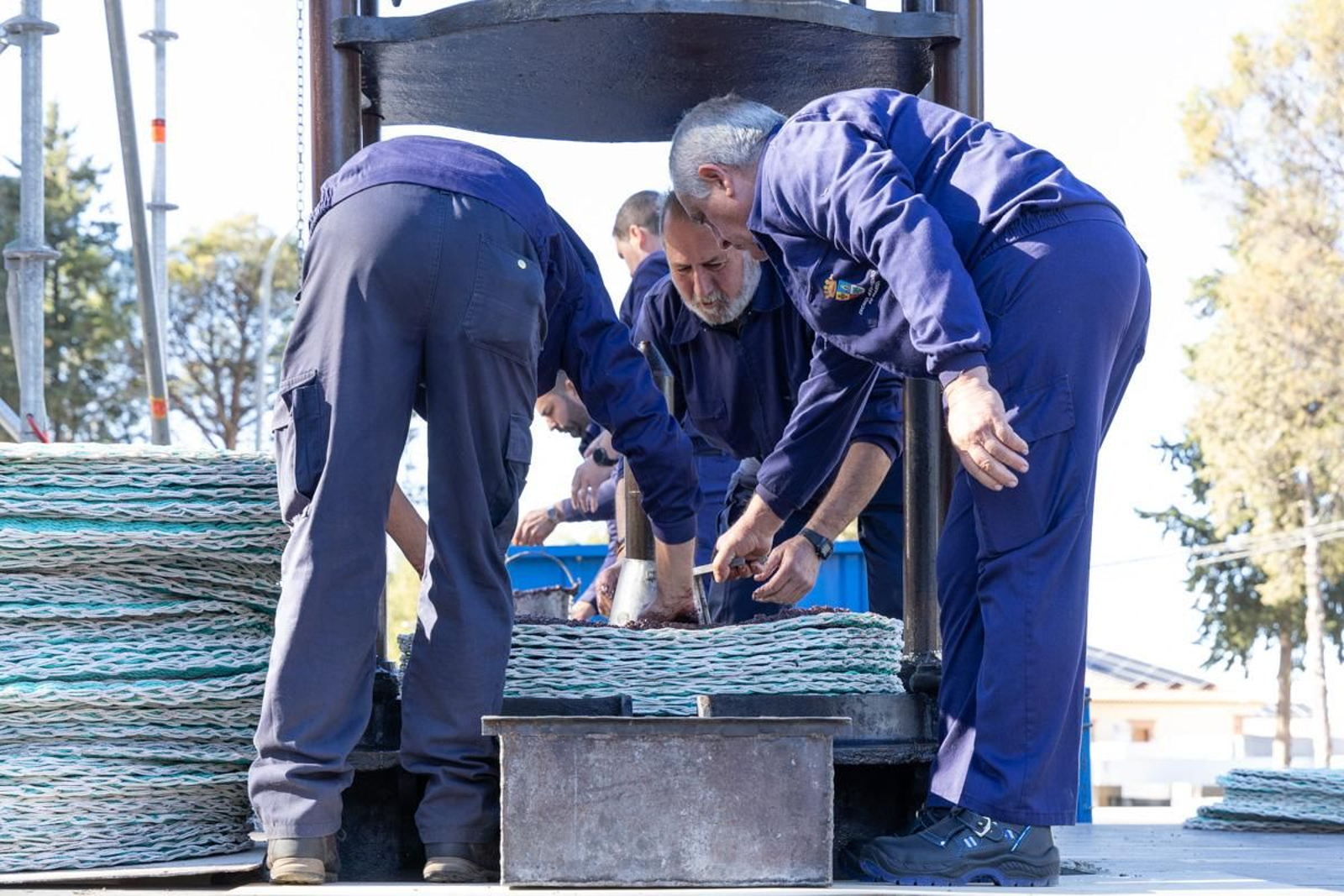 XLIV Fiesta de la Aceituna en Martos, en imágenes