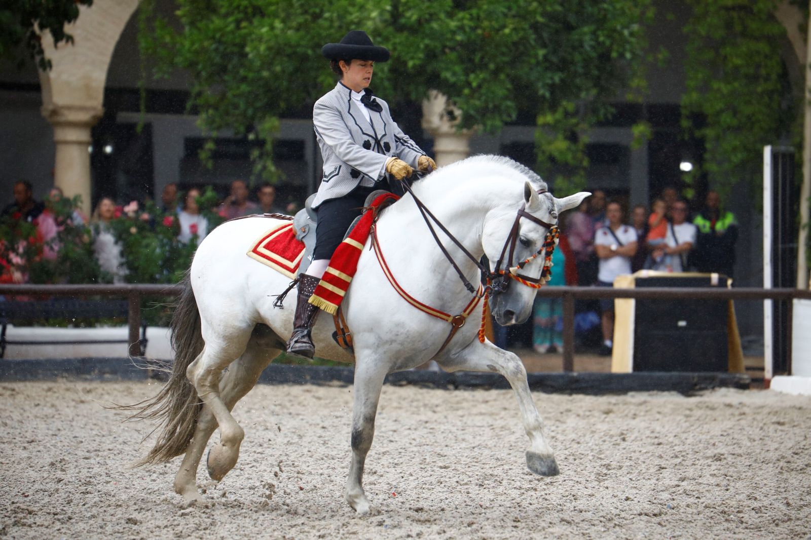 La celebración de la VI Copa de España de Alta Escuela en Córdoba, en imágenes