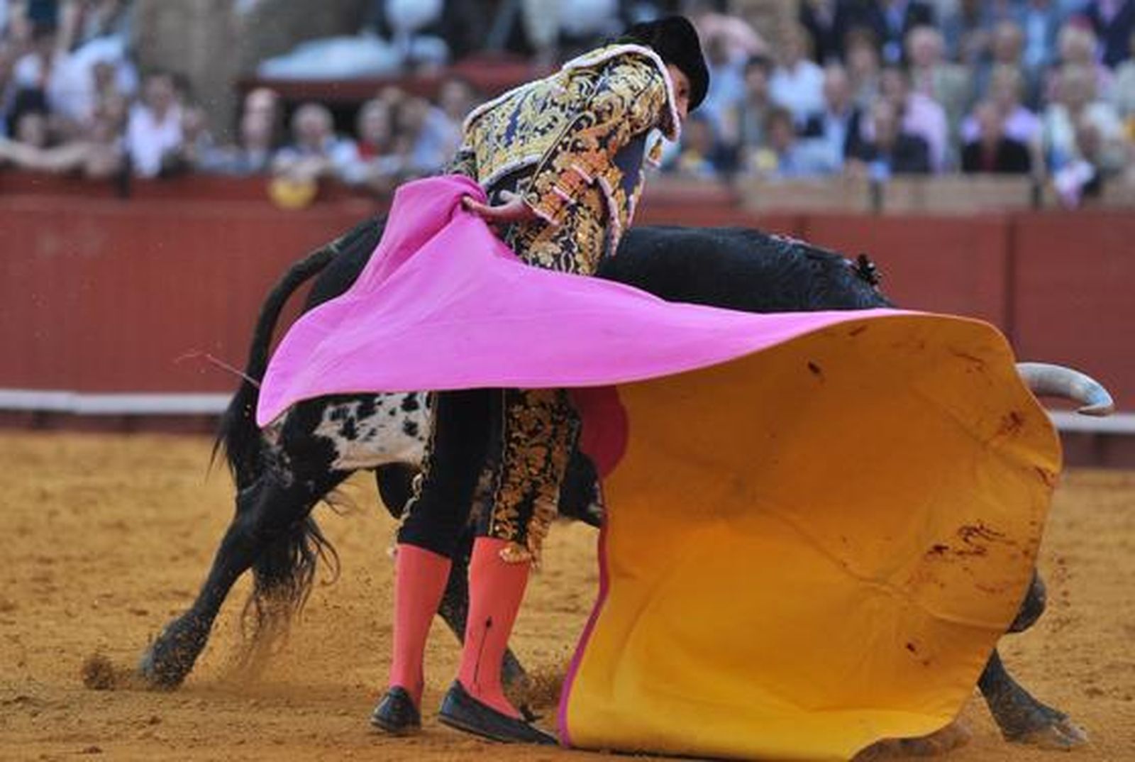 El Fandi rozó el triunfo ante Manuel Díaz 'El Cordobés' y Francisco Rivera Ordóñez. Discreta corrida en la que se torearon astados de la ganadería de Torrestrella. 

Foto: Manuel Gómez