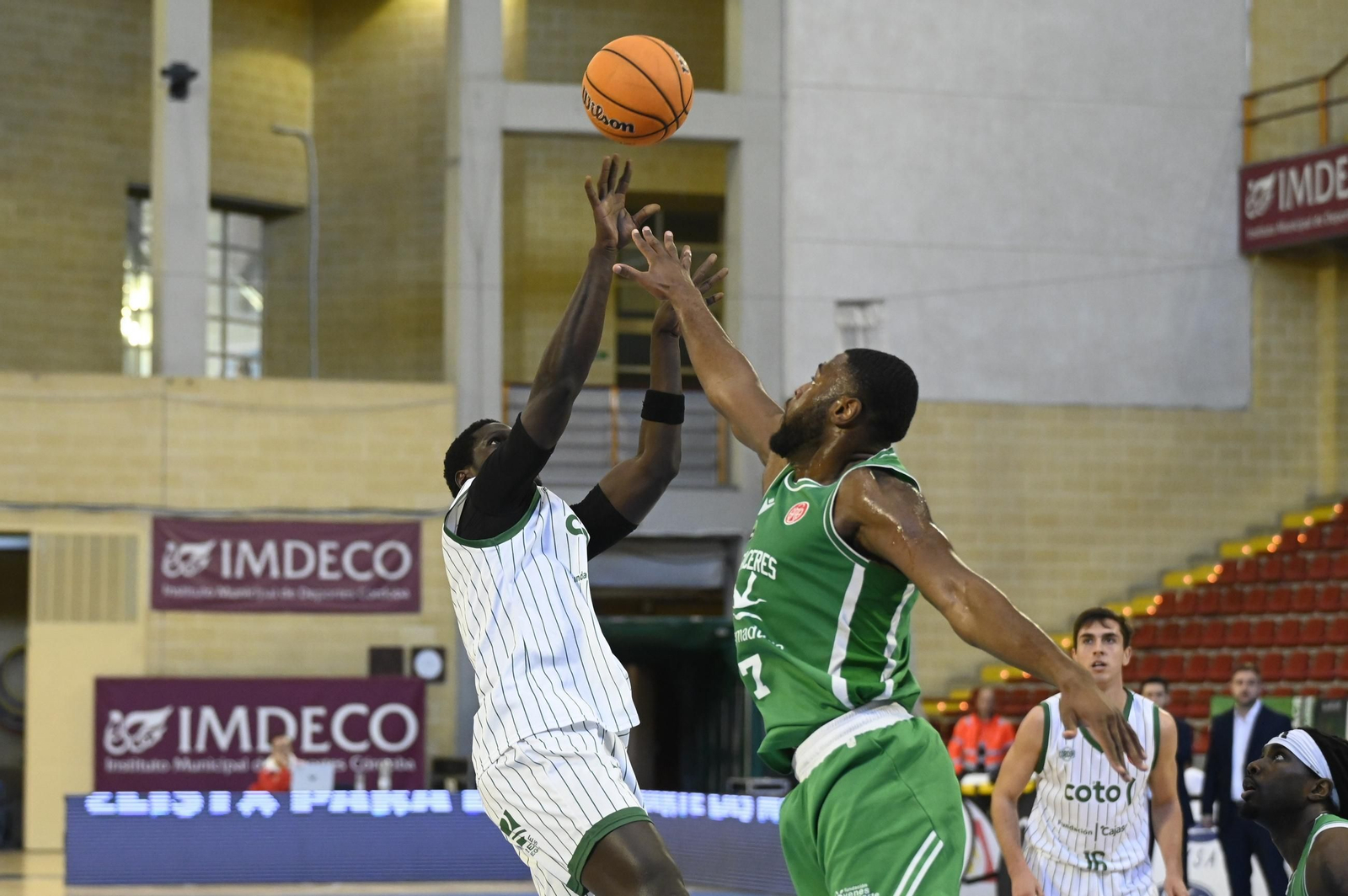 Las mejores fotos del ambiente en el Coto Córdoba - Cáceres Patrimonio de la Humanidad