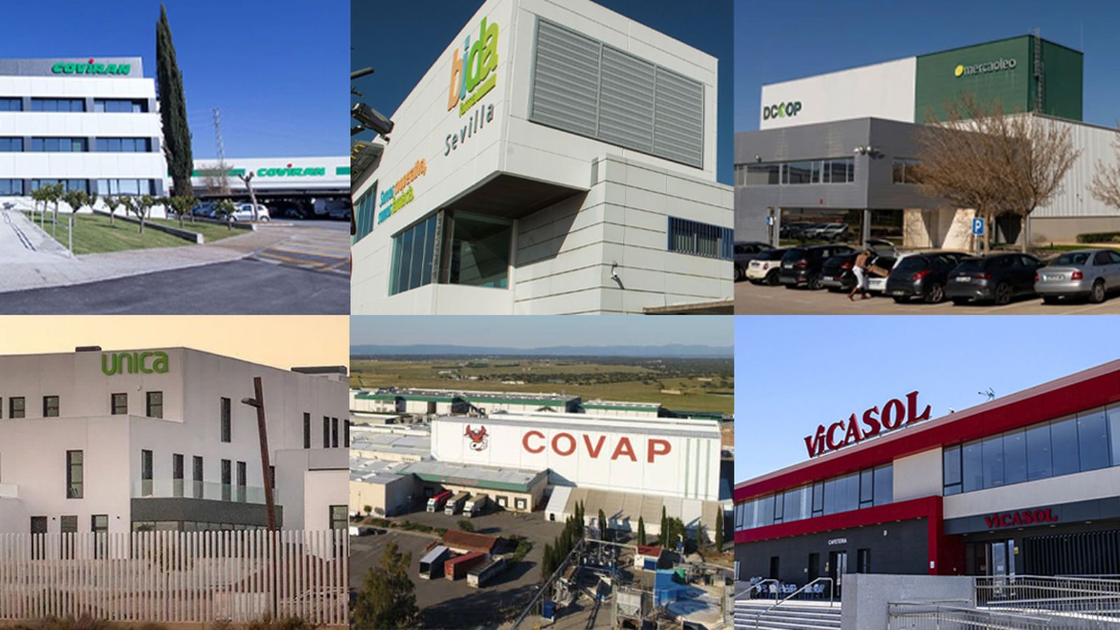 La comunidad andaluza se sitúa segunda de España en la clasificación de cooperativas por volumen de ventas.