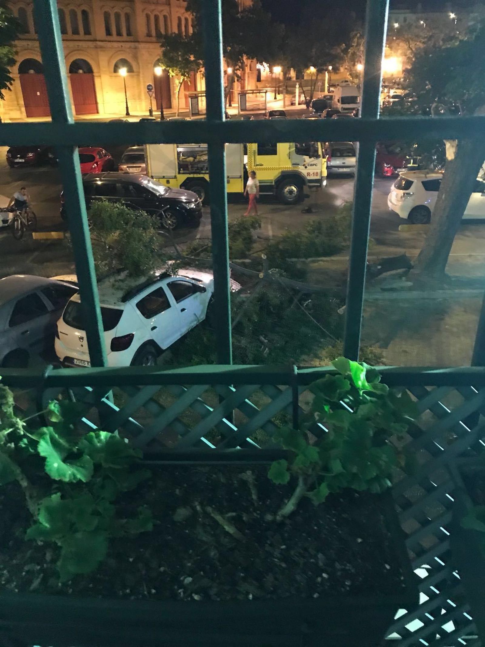 Los bomberos en la zona, tras la caída de la rama.