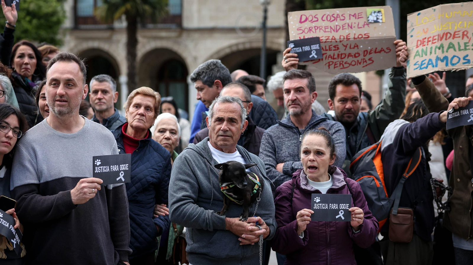 Protestas por el asesinato del perrito 'Oddie' en Jerez