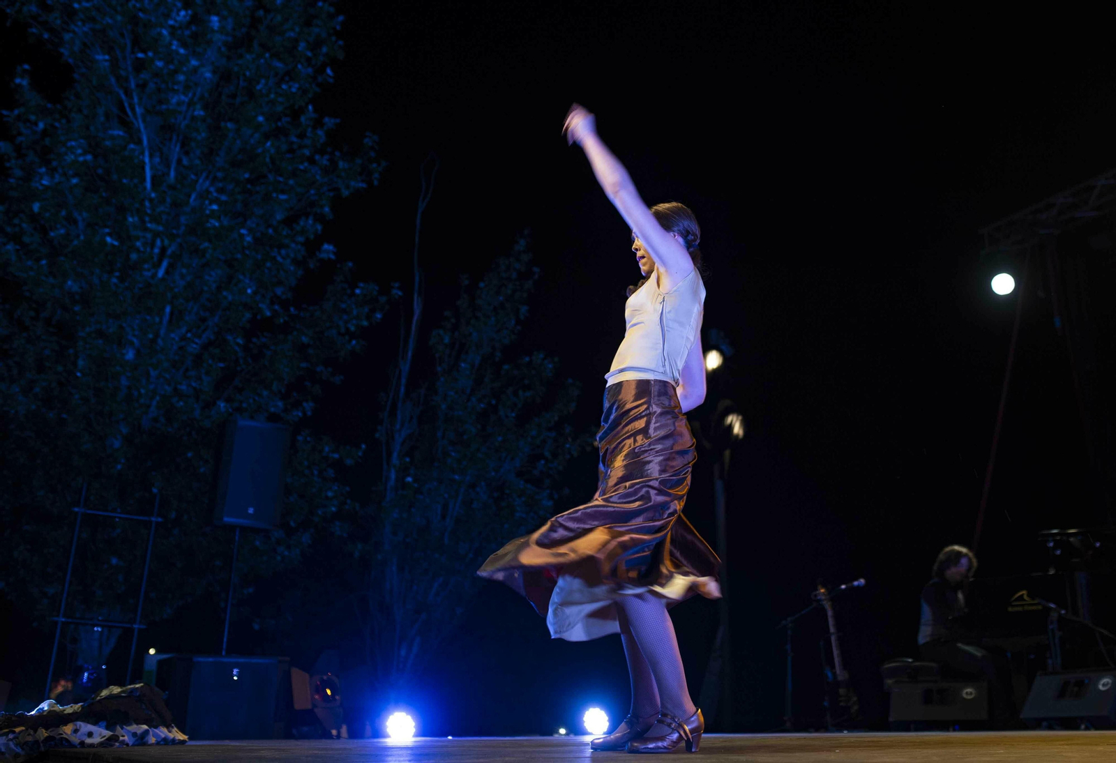 Las imágenes de la Noche Blanca del Flamenco de Córdoba