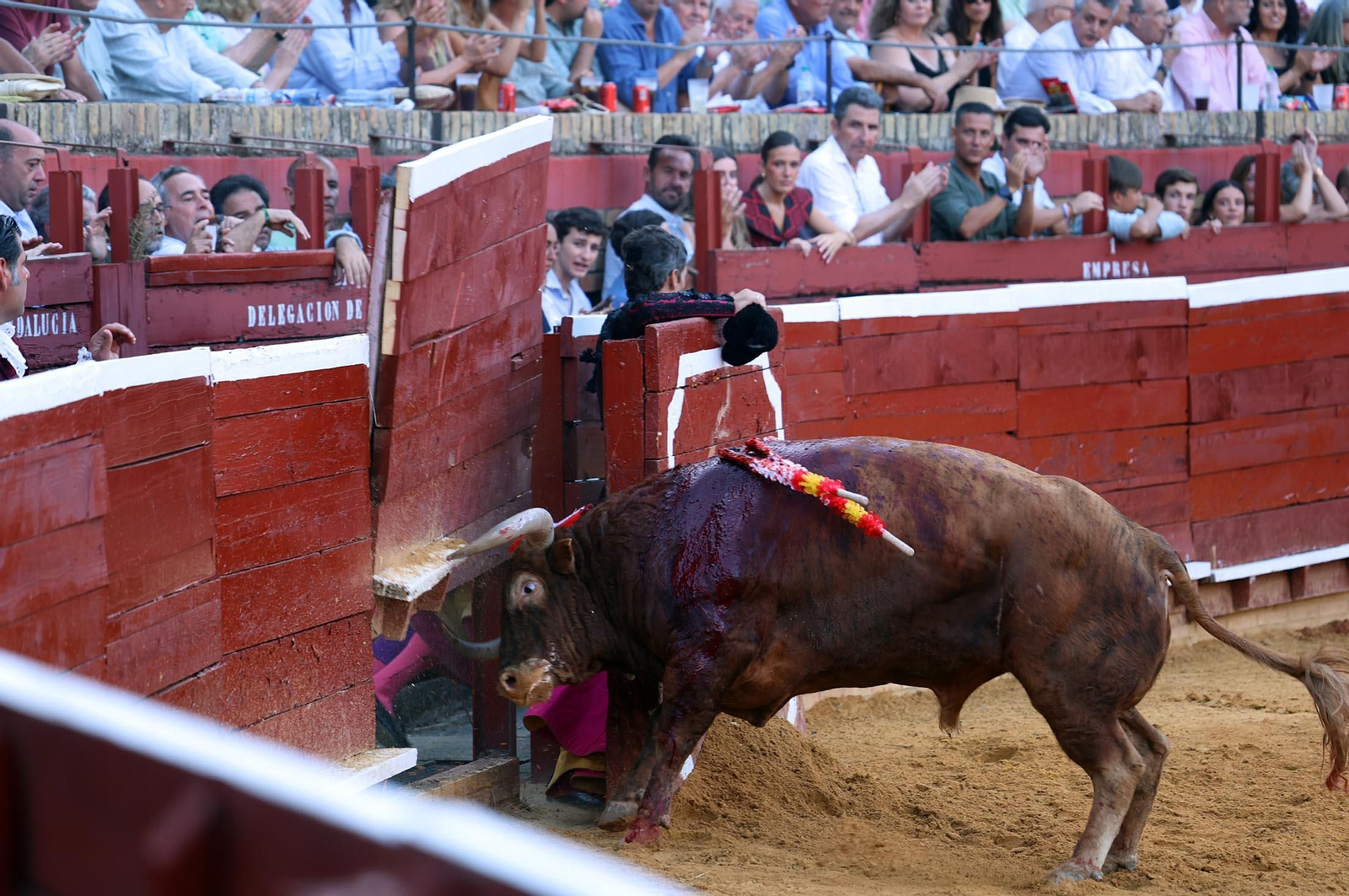 Toros La Merced 2025: Imágenes de la corrida de David de Miranda, Marco Pérez y Borja Jiménez
