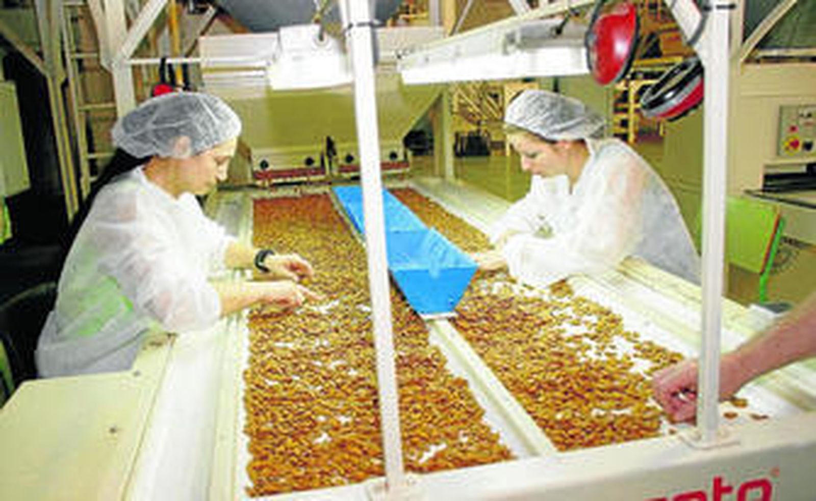 Operarias dan el último repaso a las almendras de la empresa gergaleña para garantizar su calidad.