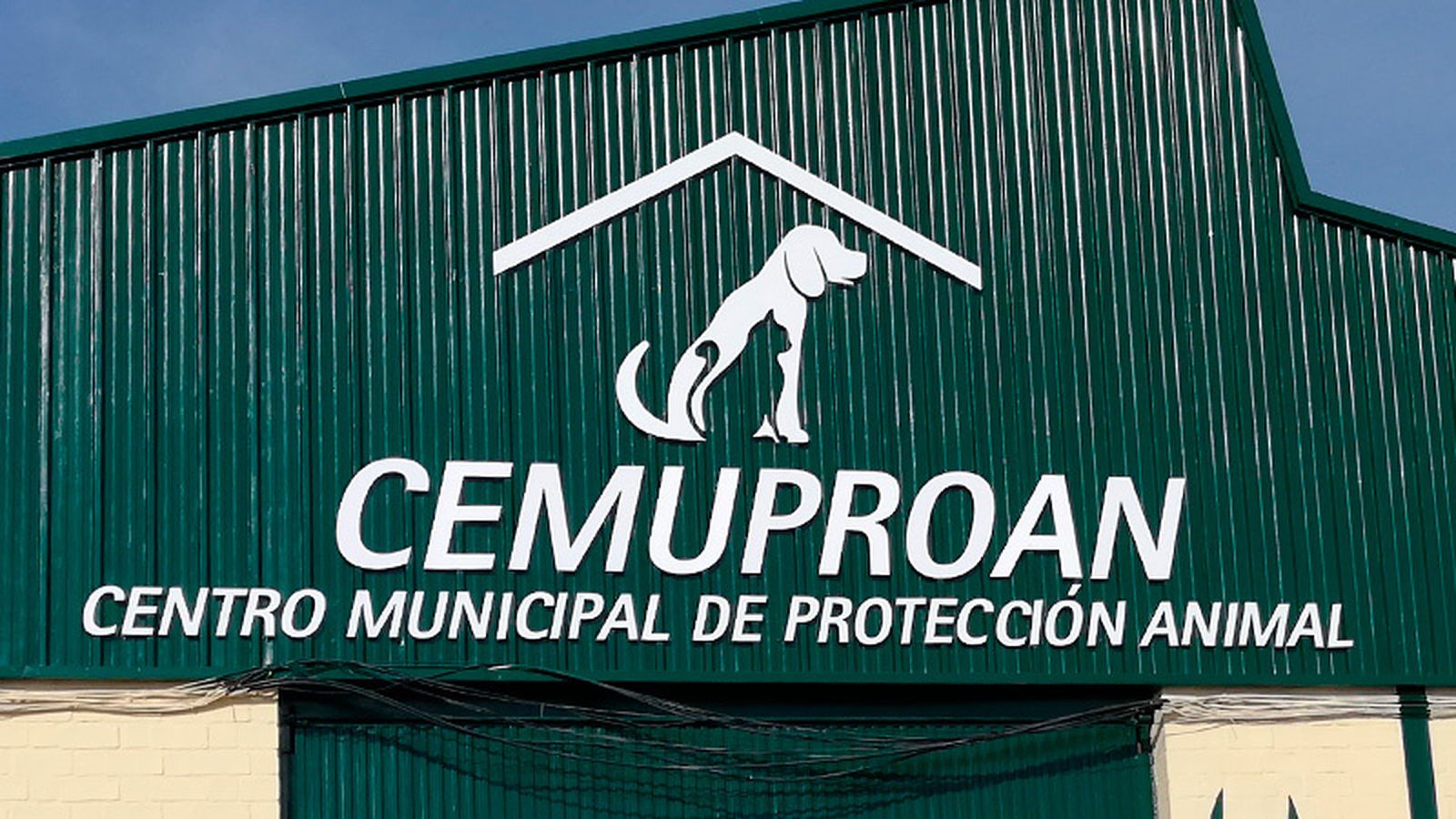 El Centro Municipal de Protección Animal, en El Puerto de Santa María.