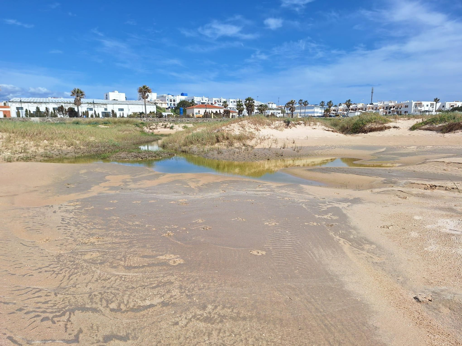 El vertido de aguas fecales en la playa de Los Lances de Tarifa, en imágenes.
