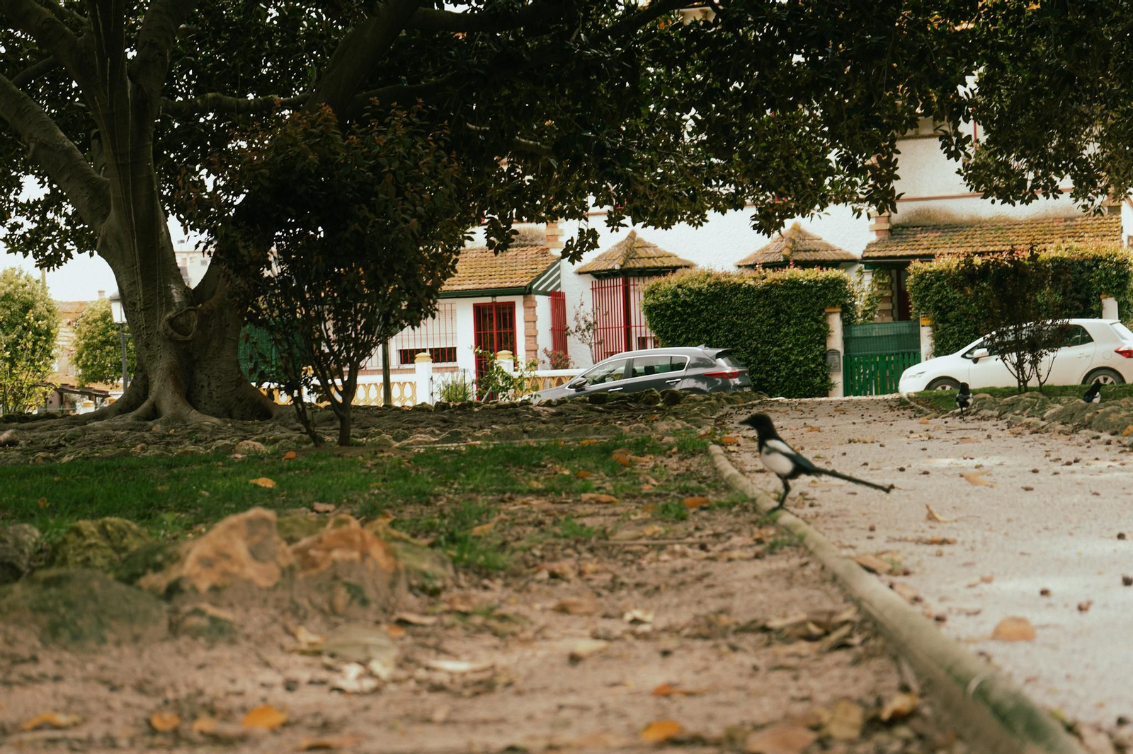 Las imágenes más destacadas del miércoles 9 de abril en Huelva