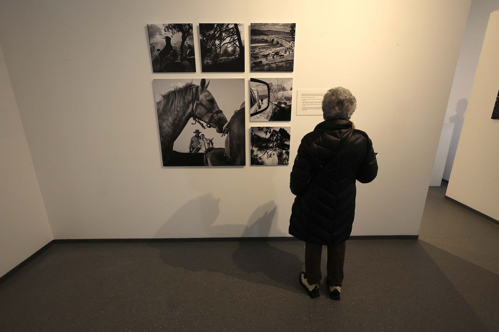 Fotos de la exposición 'Yerba, el corazón verde de la transhumancia' de Katy Muñoz