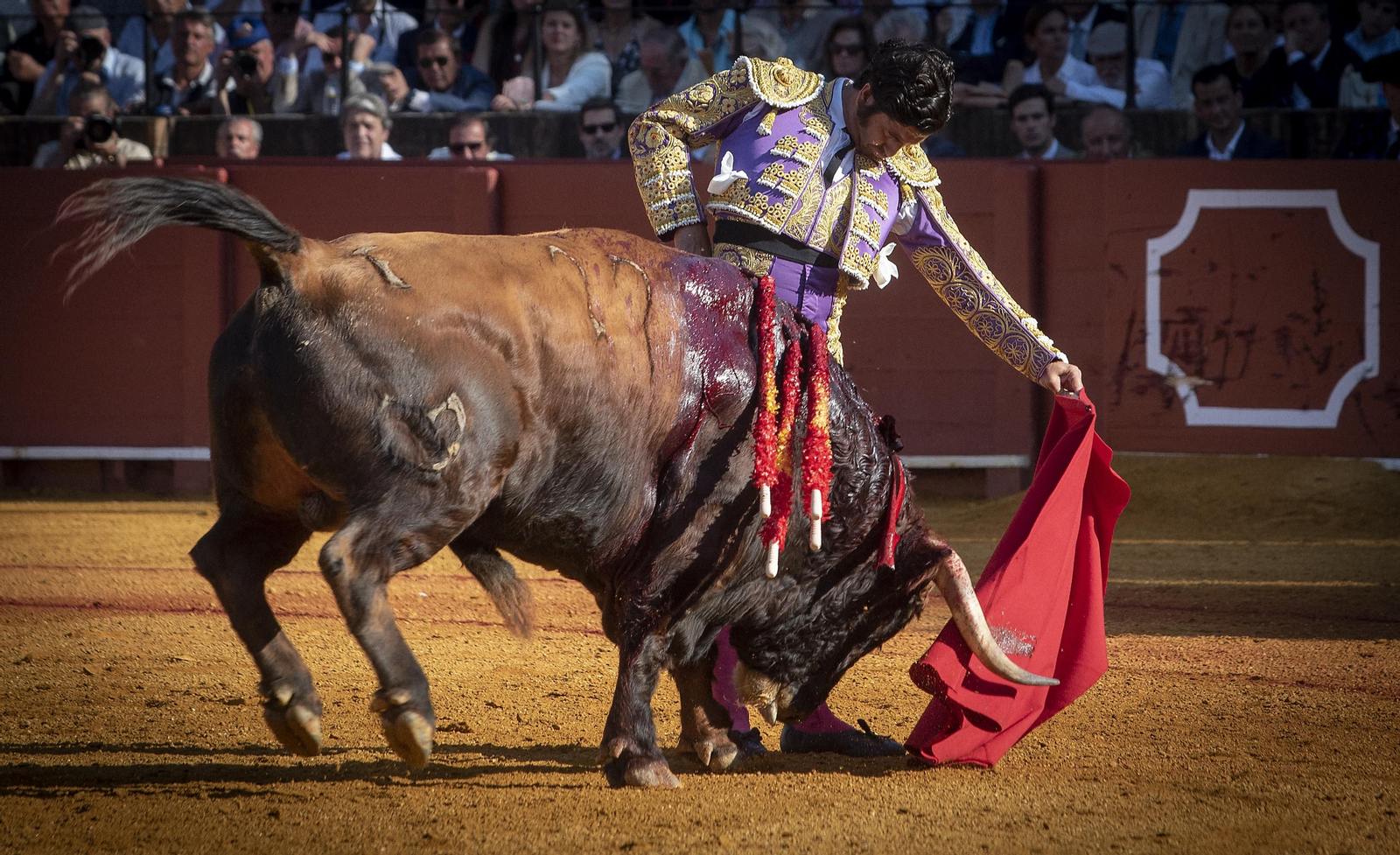 Las mejores imágenes del duodécimo festejo de toros