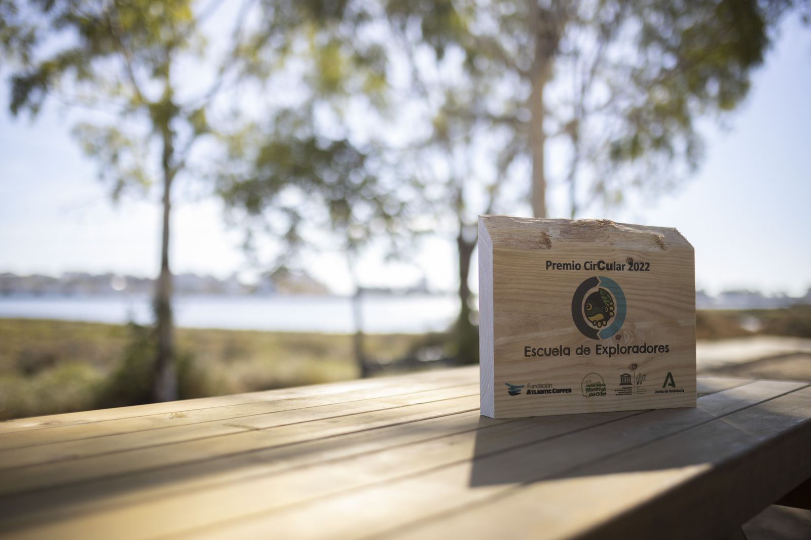 Imágenes de la clausura de la Escuela de Exploradores en Marismas del Odiel