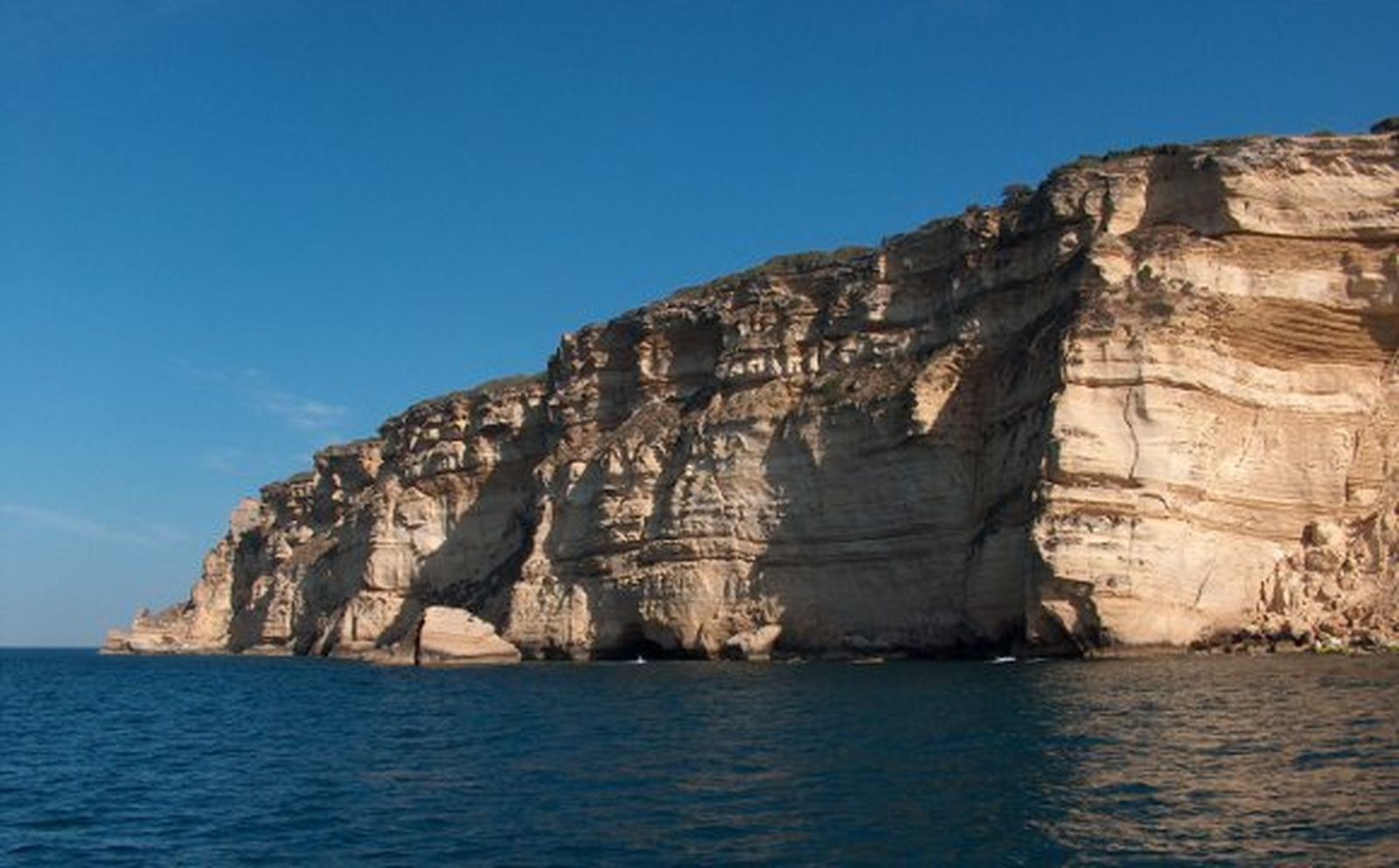 Visitas guiadas gratuitas al Centro de Interpretación del Atún y a la Torre del Tajo