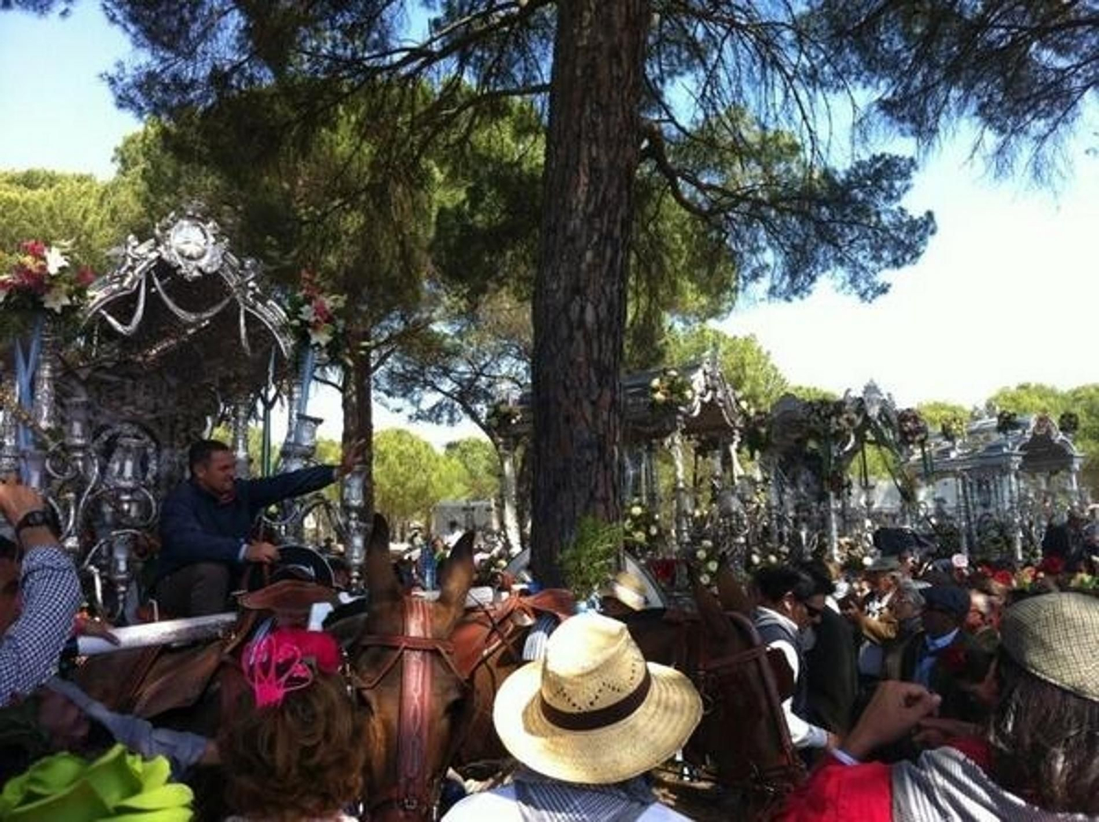 Los Simpecados de Isla Cristina, Ayamonte, Palos de la Frontera y Gibraleón, rezando juntos el ángelus