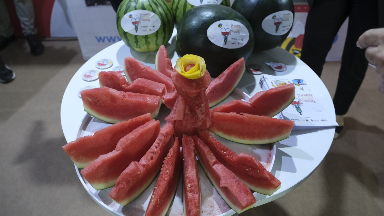 Imágenes de la Infoagro Almería 2023, en su segunda jornada