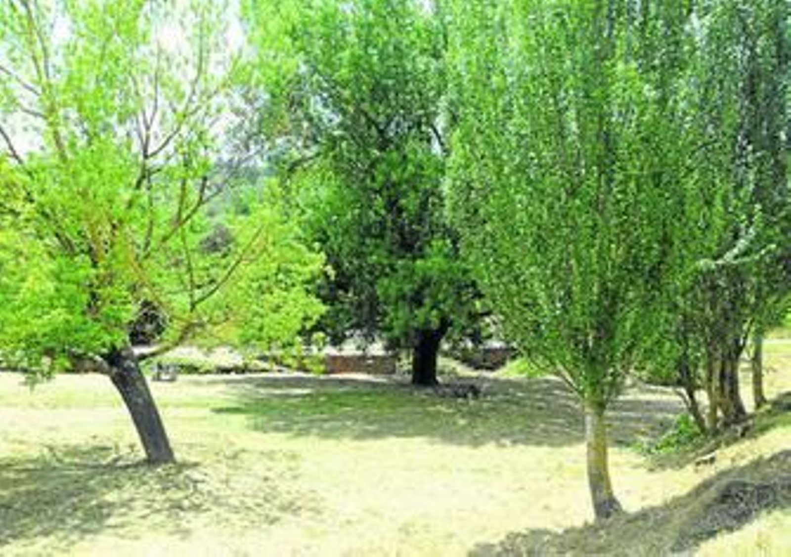 El paraje natural de Marimateos será escenario de una jornada de convivencia entre niños, amigos y familiares.