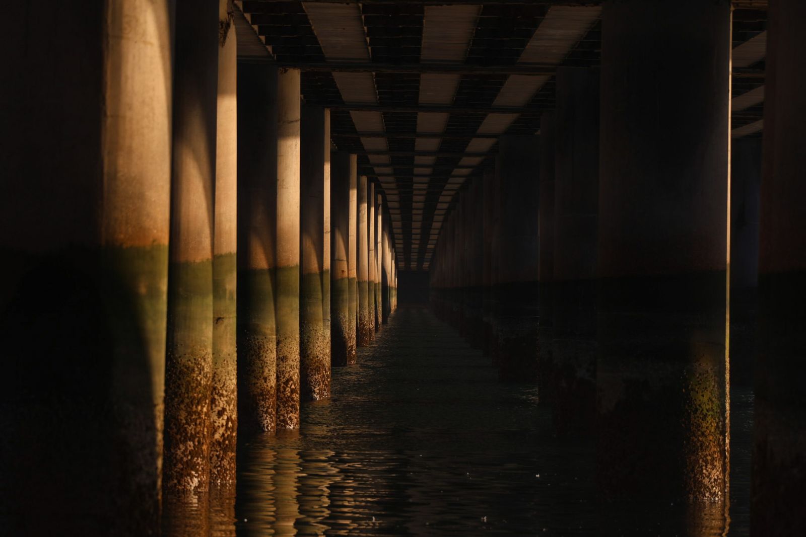 La Punta del Sebo, un lugar maravilloso para visitar y fotografiar a los pies de los ríos Tinto y Odiel