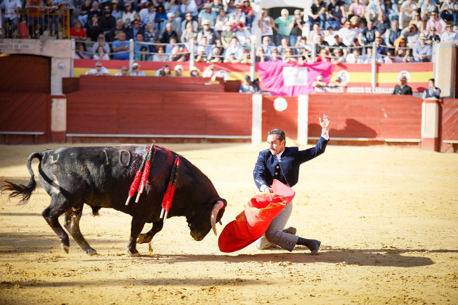 Imágenes del festival mixto lucha contra el cáncer