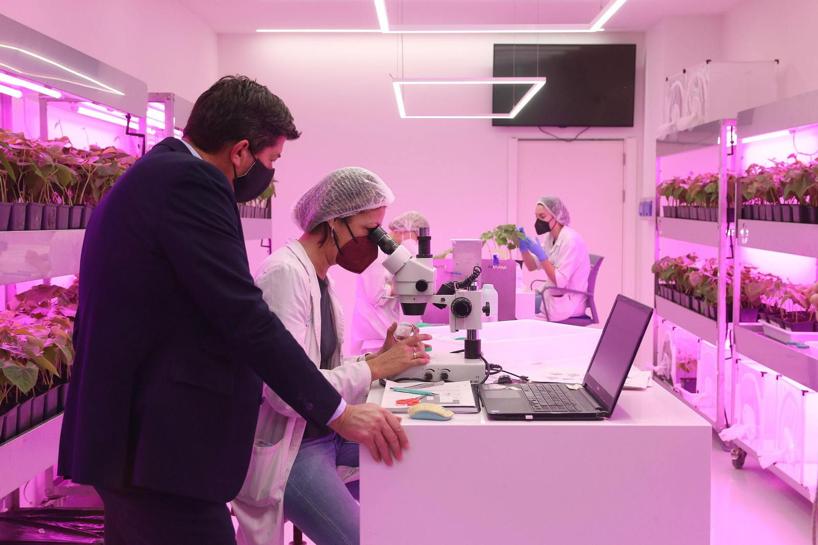 Fotogalería de la visita de Juan Marín a Kimitec, al PITA y a Unica Group