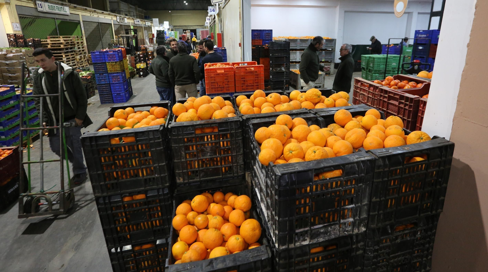 Cajas de naranjas, de los productos en los que más ha subido el precio de venta al público, en las instalaciones de Mercajerez. Cajas de naranjas, de los productos en los que más ha subido el precio de venta al público, en las instalaciones de Mercajerez.