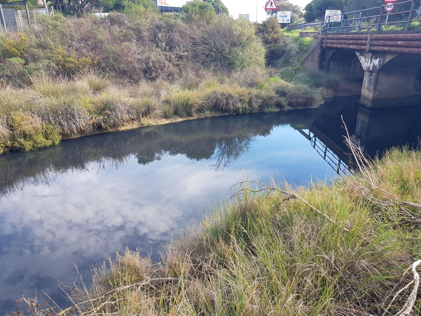 Ecologistas en Acción denuncia el vertido de aguas residuales al Caño de la Culata de El Portil