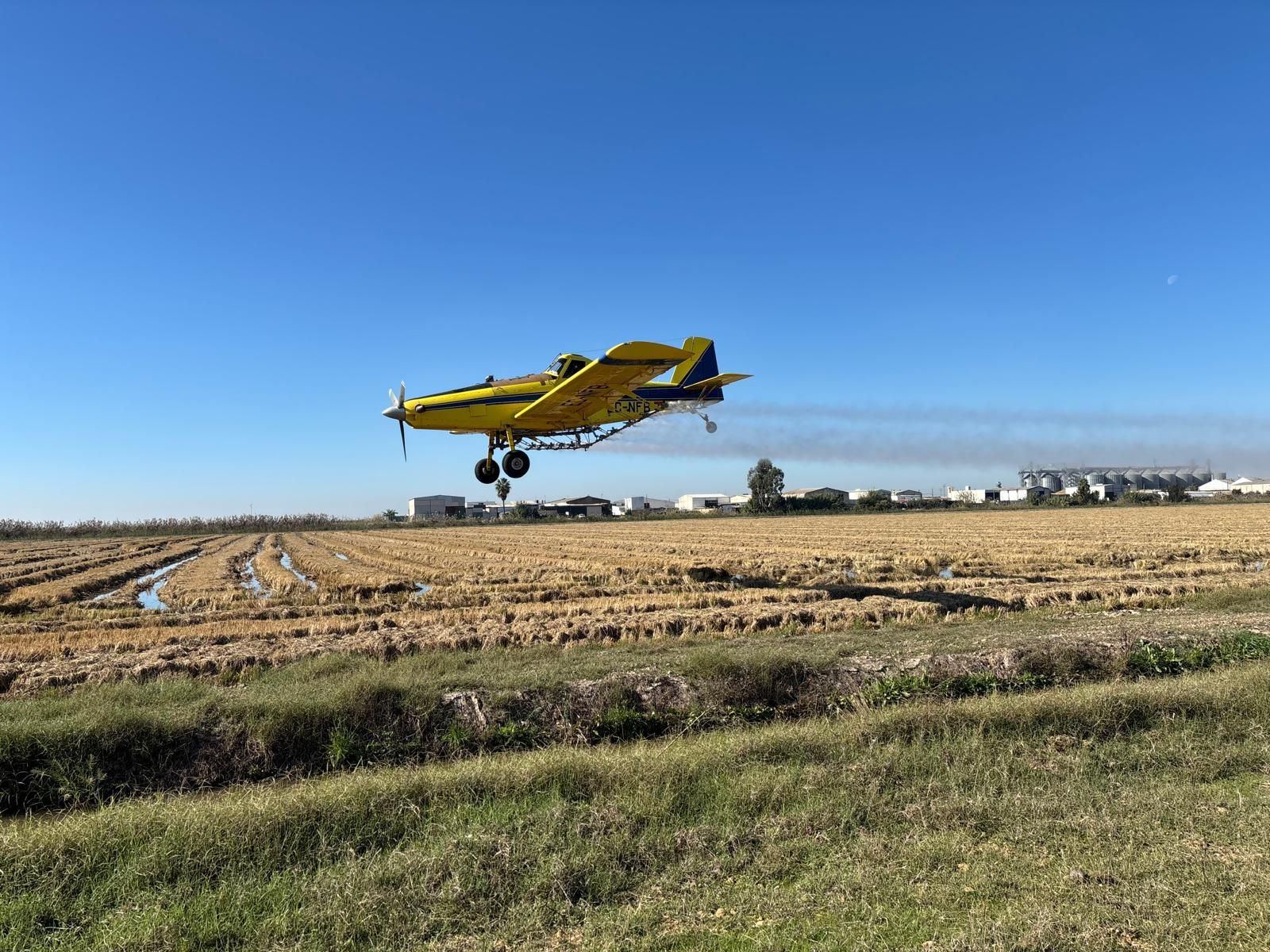 Tercera fase de tratamientos aéreos en los arrozales