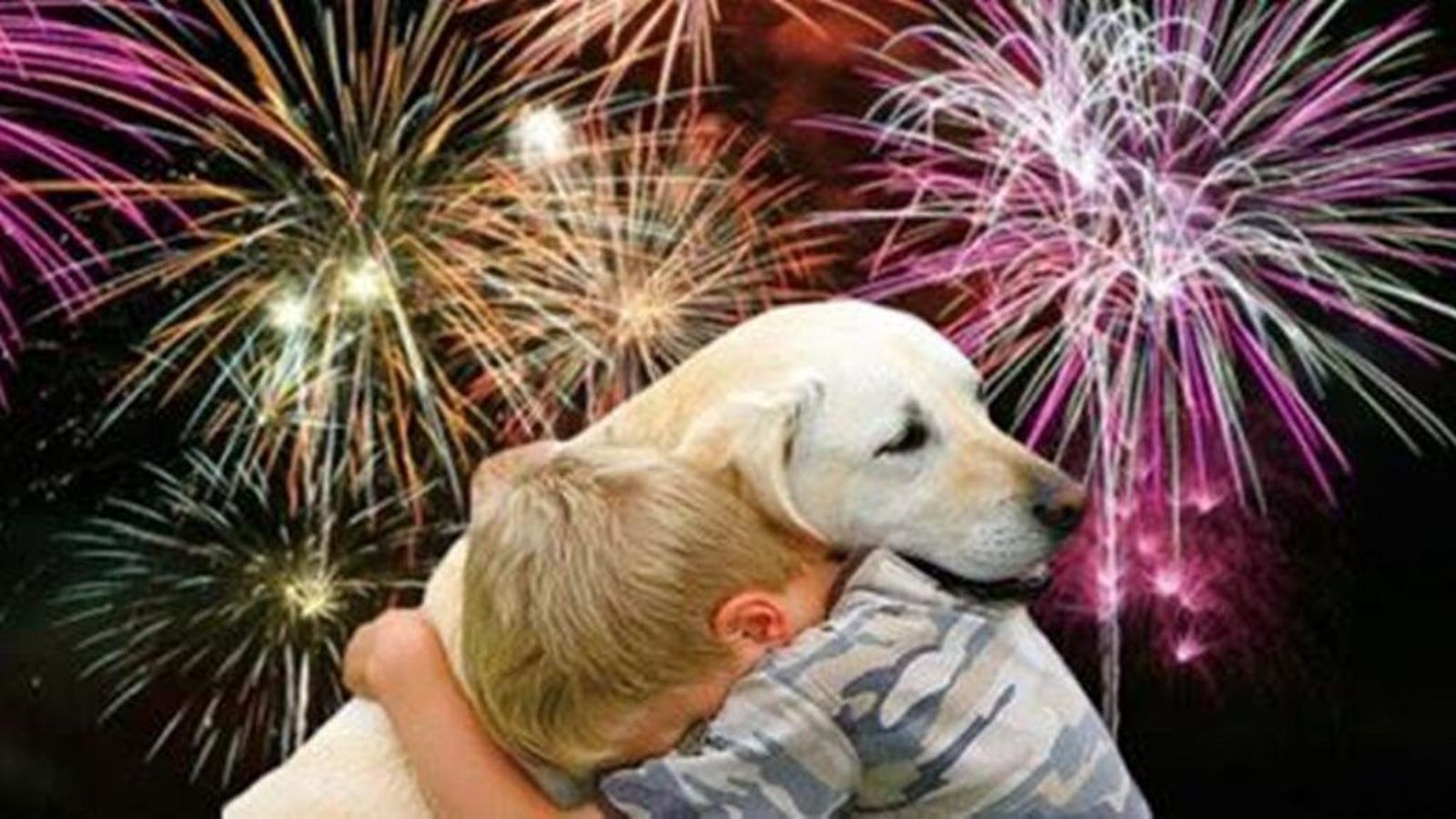 Unión Portuense defenderá el uso de fuegos artificiales con bajos decibelios.