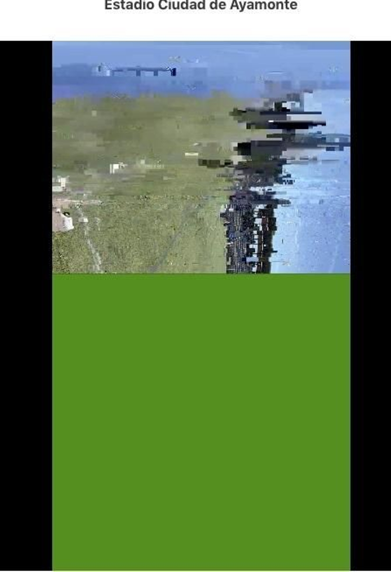 Luego, la pantalla pasó a verde.