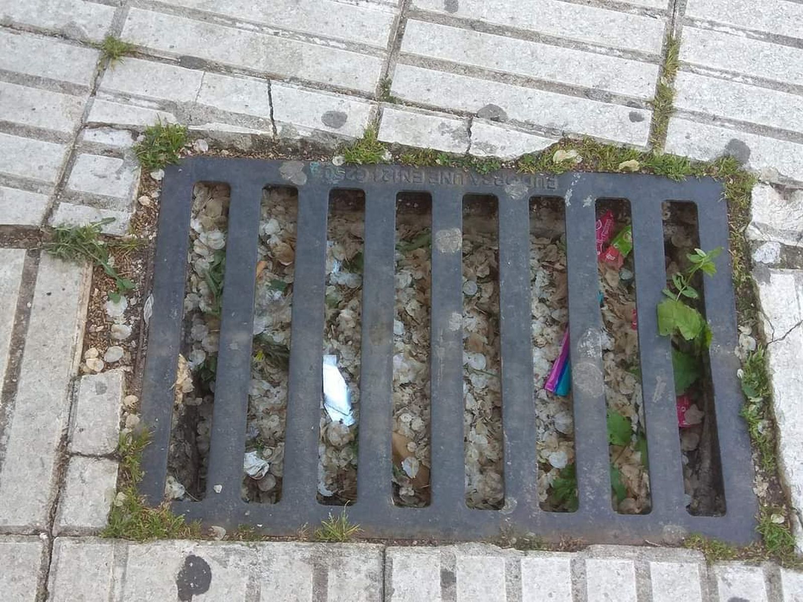 Imagen de una alcantarilla aportada por el PP para denunciar la falta de limpieza en las calles de Chiclana.