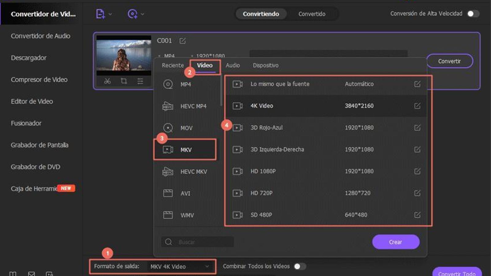 choose-output-format