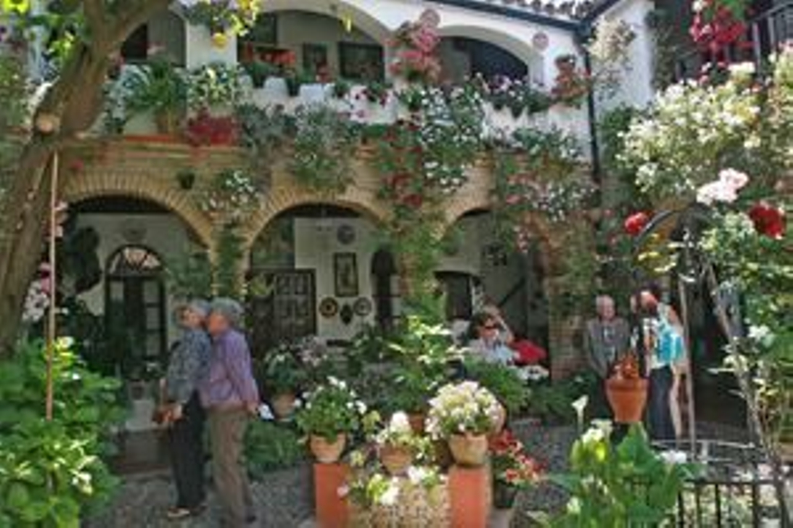 Foto: O. Barrionuevo