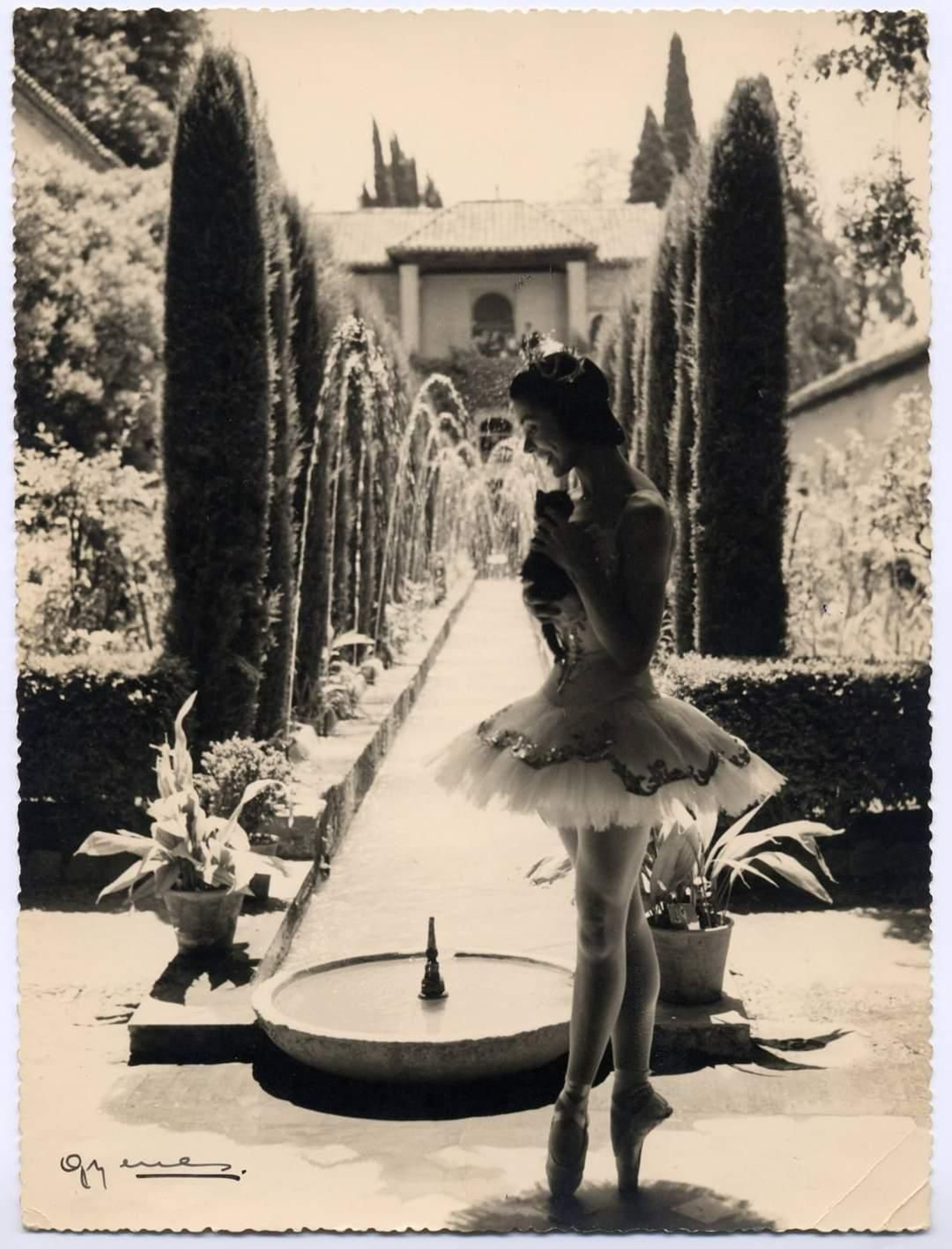 El lago de los cisnes en el Generalife