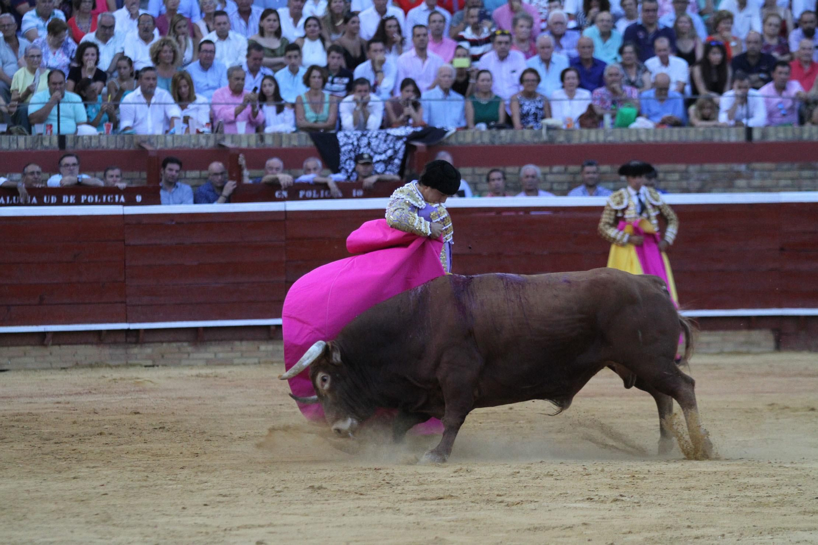 Imágenes de lidia de Roca Rey