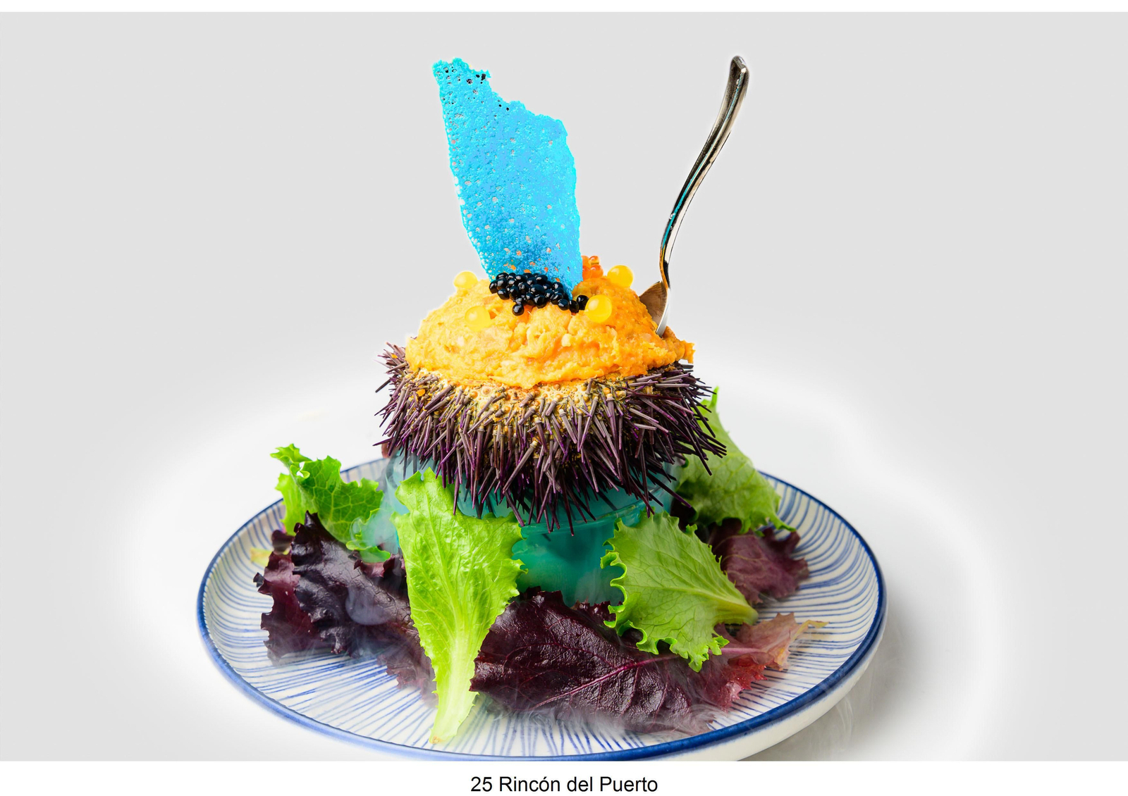 Los 60 platos de la Ruta de la Tapa de Garrucha 2024