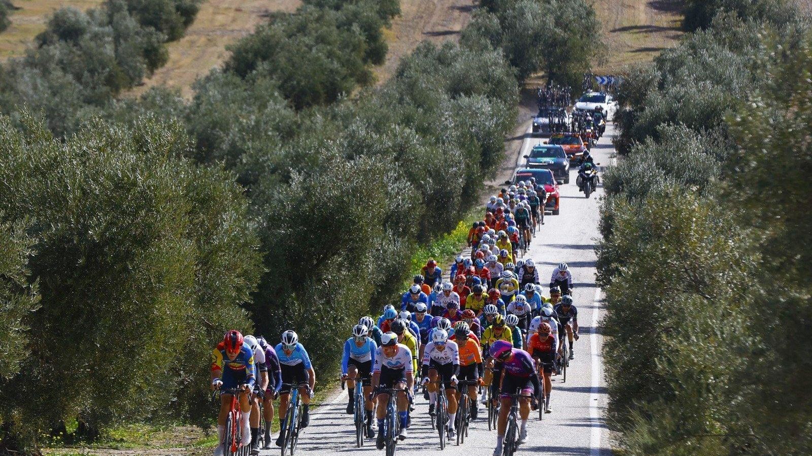 Espectacular imagen de la III Clásica Jaén Paraíso Interior entre el mar de olivos.