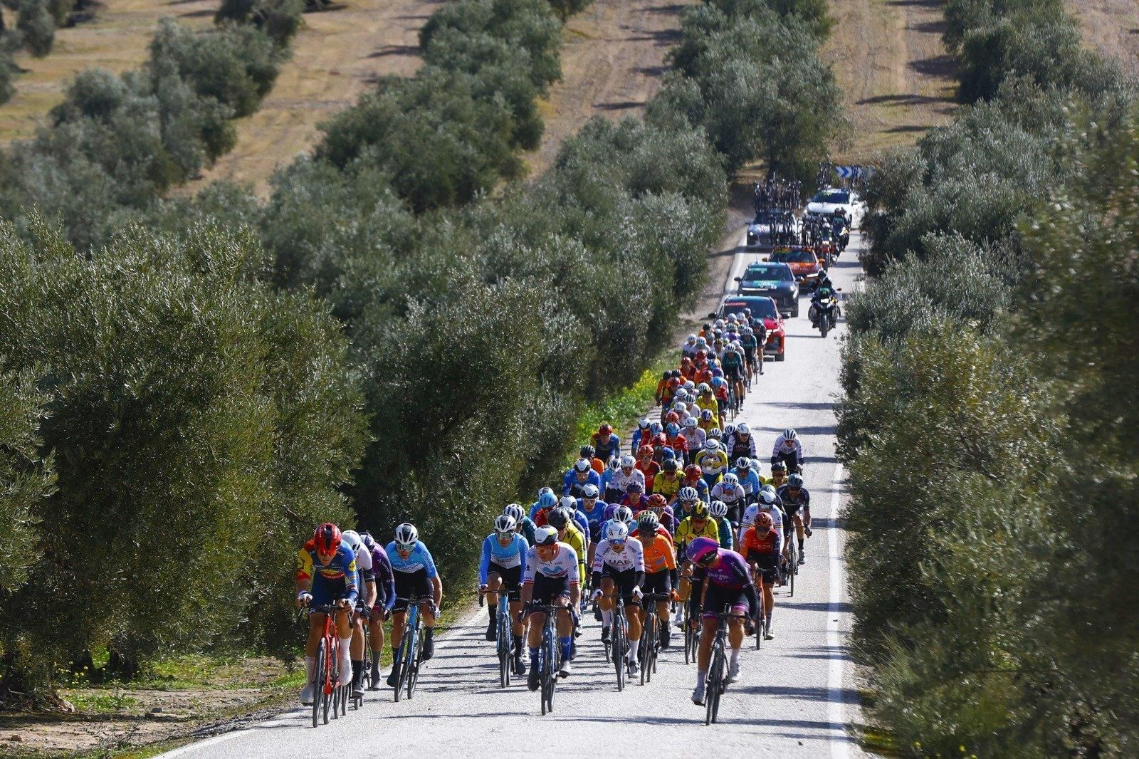 Espectacular imagen de la III Clásica Jaén Paraíso Interior entre el mar de olivos.