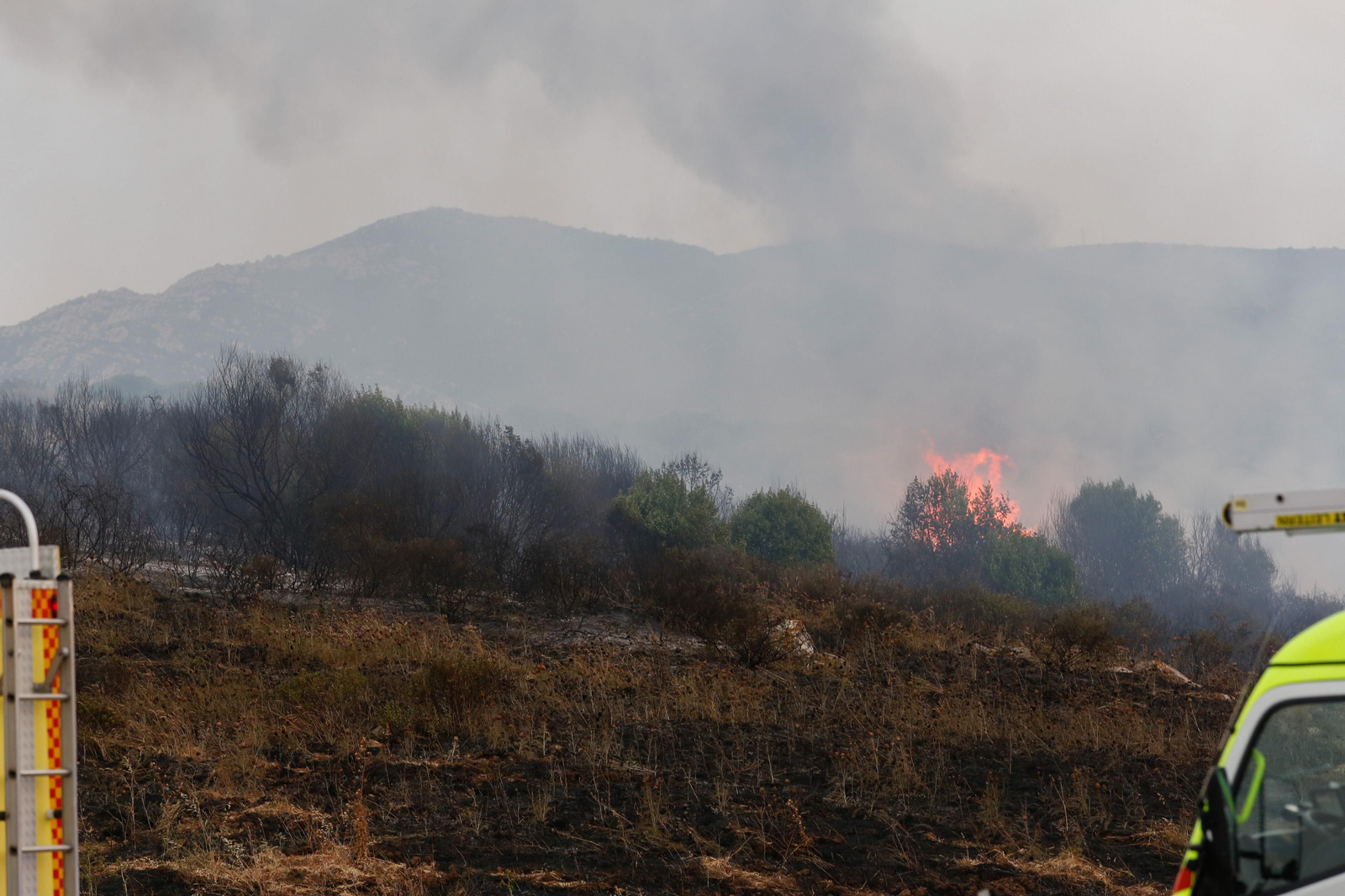 Las fotos del incendio de este viernes en Algeciras