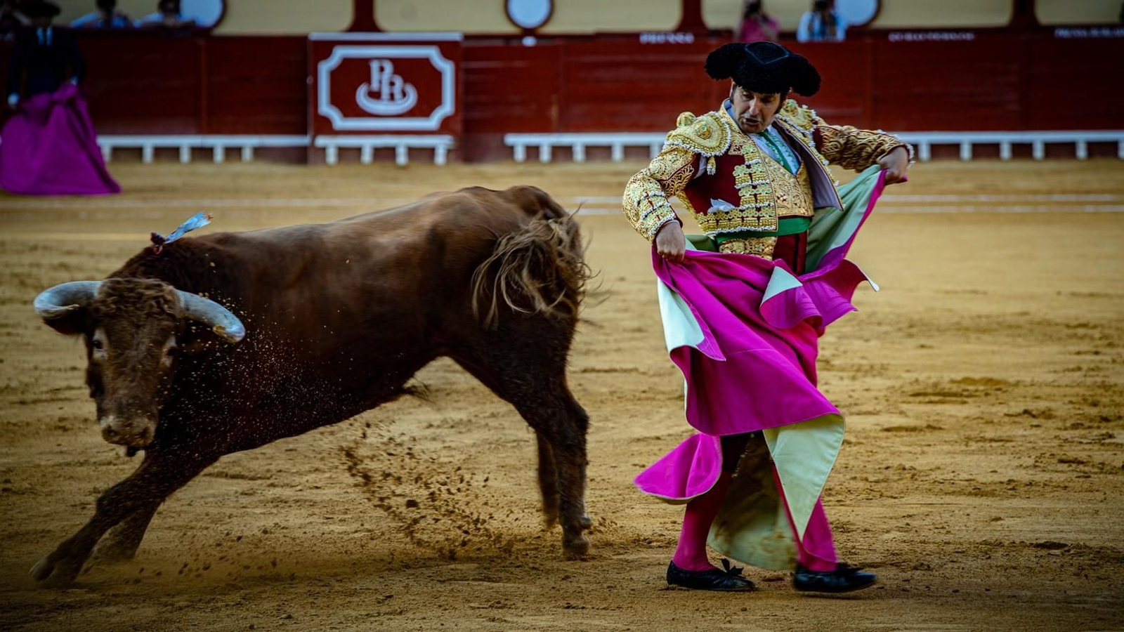 Morante de la Puebla en El Puerto de Santa María, pocos días antes de su cornada en Pontevedra.